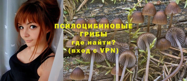 мескалин Белокуриха