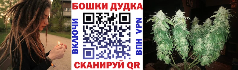 Каннабис White Widow  Дятьково 